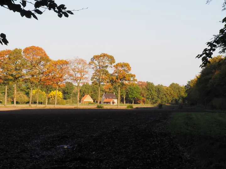 Vagevuurbos an Lippensgoed-Bulskampveld (Belgium)